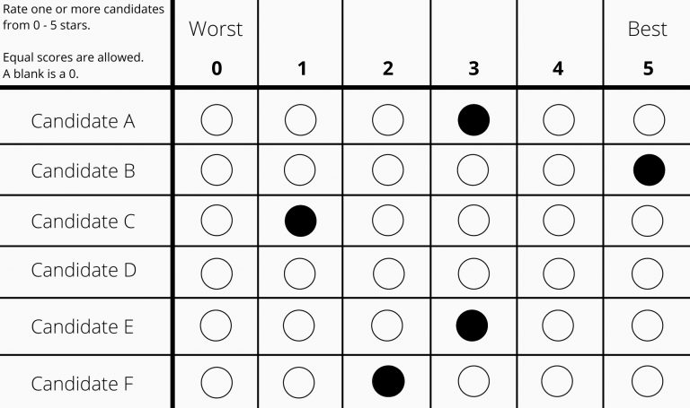 Alternative Voting Methods | Democracy Policy Network