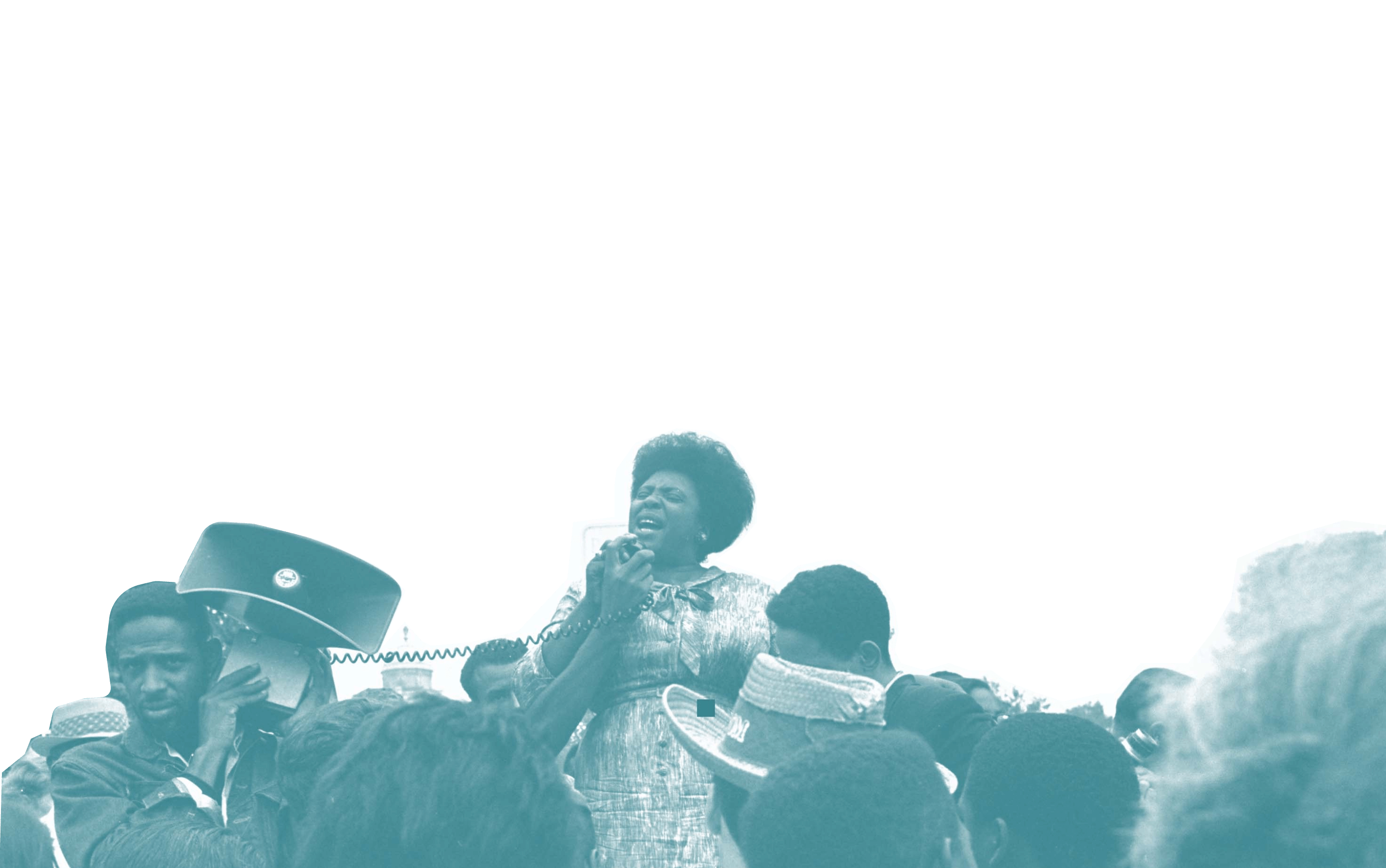 The Vision | Democracy Policy Network